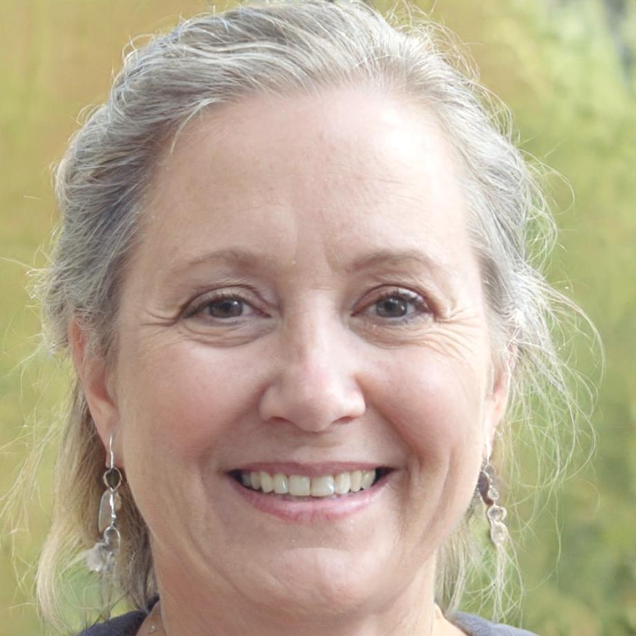 Anna Schmidt, Risikomanagement-Expertin